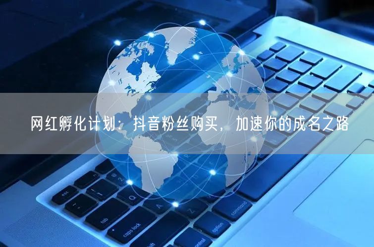 网红孵化计划：抖音粉丝购买，加速你的成名之路
