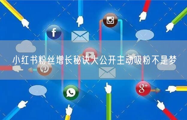 小红书粉丝增长秘诀大公开主动吸粉不是梦