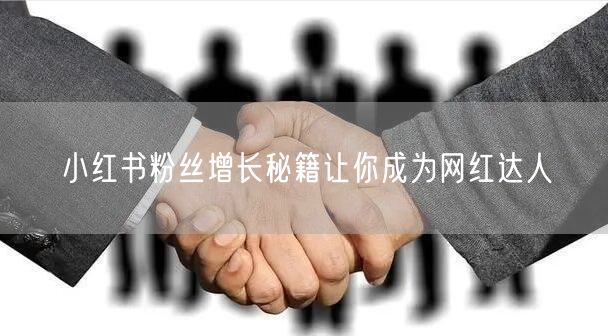 小红书粉丝增长秘籍让你成为网红达人