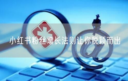 小红书粉丝增长法则让你脱颖而出