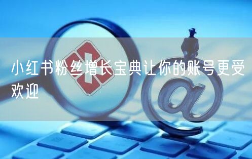 小红书粉丝增长宝典让你的账号更受欢迎