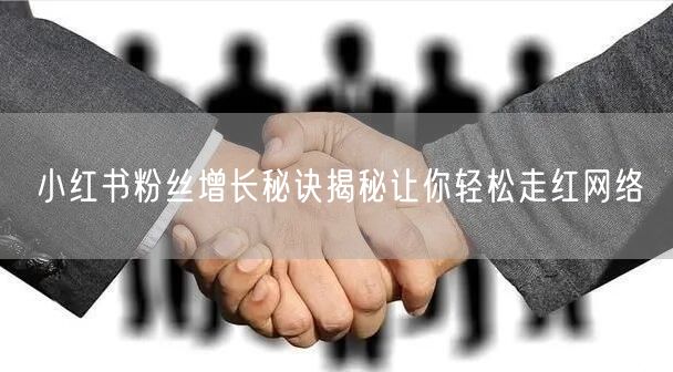 小红书粉丝增长秘诀揭秘让你轻松走红网络