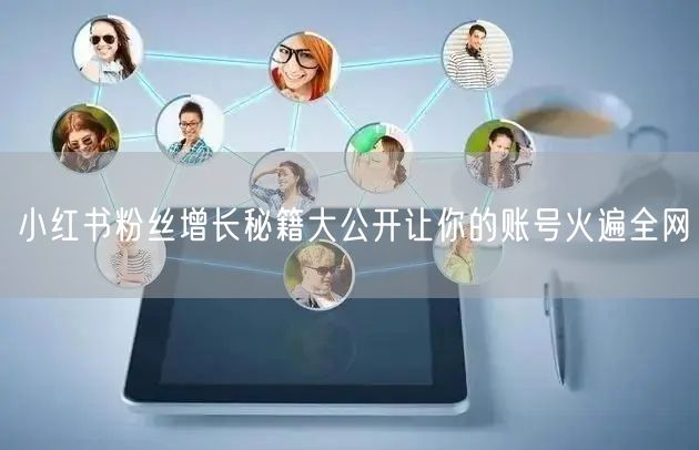 小红书粉丝增长秘籍大公开让你的账号火遍全网